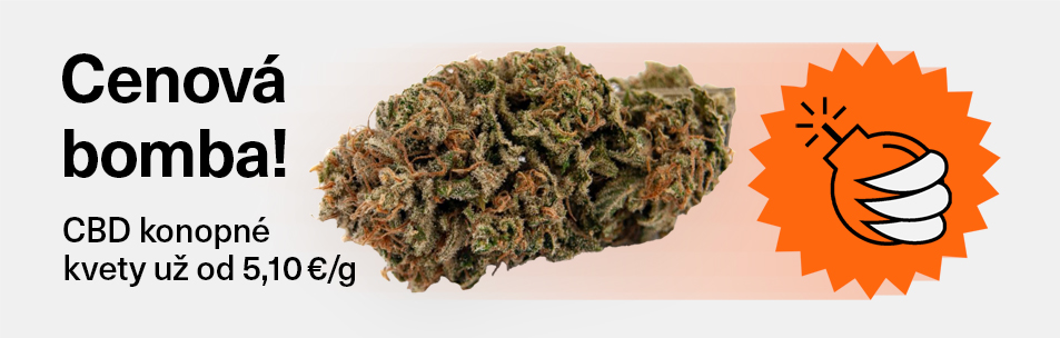 kvety cbd konopi