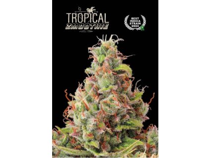 tropical zmoothie auto