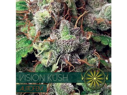Vision Kush autori (Balenie 10 ks)