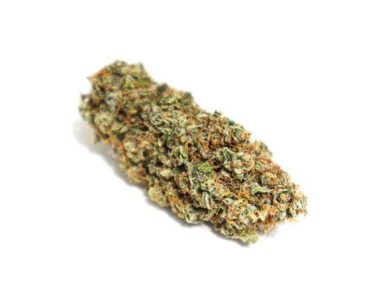 CBD konopi a marihuana
