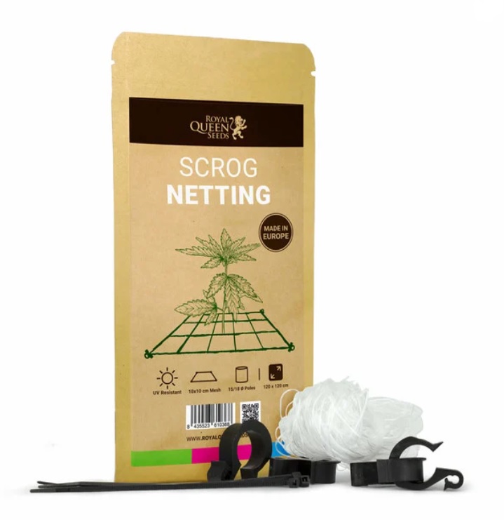 Royal Queen Seeds Pestovateľská sieť na ScrOG