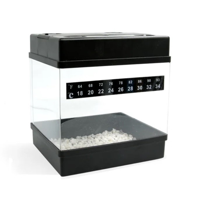 Royal Queen Seeds Balík pre začiatočníkov - Starter Kit