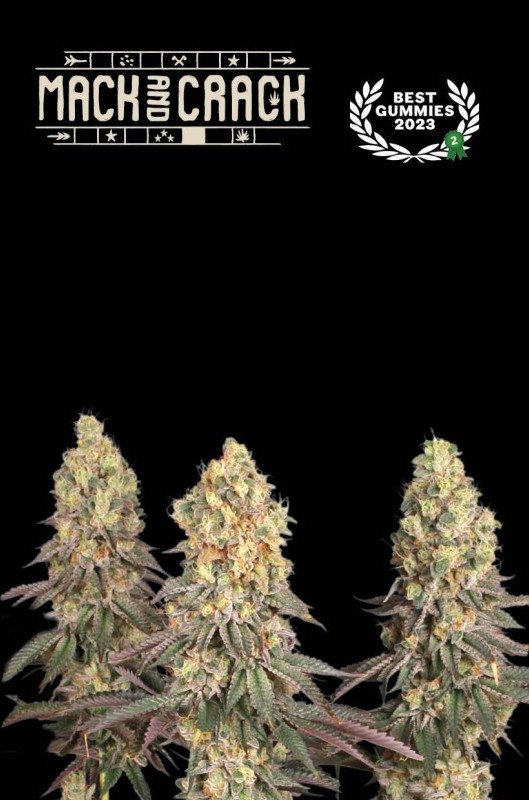 Seedstockers AK420 AUTO 0% THC Balenie: 1 ks
