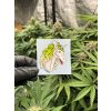 Samolepka jednorozec weedshop