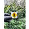 Samolepka semafor weedshop