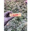 Cigaretove papieriky RAW Connoisseur king size + filtre (2)