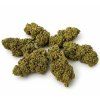 CBD konope weedshop