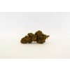 CBD konopí - Diesel - Weedshop (Hmotnosť 1 g)