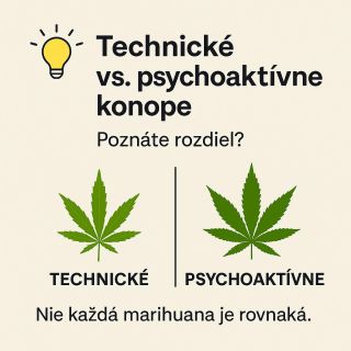 🌿 Technické vs. psychoaktívne kon*pe – poznáte rozdiel? Nie každé kon*pe má rovnaké účinky. 🔹 Technické kon*pe obsahuje...