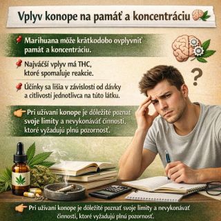 Konope môže krátkodobo ovplyvniť pamäť aj schopnosť sústredenia. 🧠🌿 Najväčší vplyv má T•C, ktoré spomaľuje reakcie a môže...