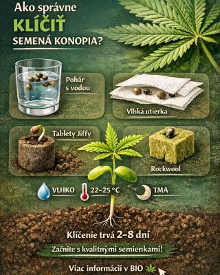 🌱 Správne klíčenie = základ úspešného pestovania. Stačí vlhko, teplota 22–25 °C a tma. Prvé klíčky sa môžu objaviť už za...