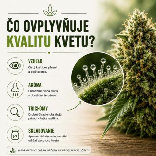 🌿 Čo skutočne vypovedá o kvalite kvetu? Samotný vzhľad alebo farba nemusia povedať všetko. Dôležitú úlohu môžu zohrávať aj...