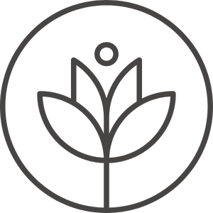 Online prostor pro zpomalení