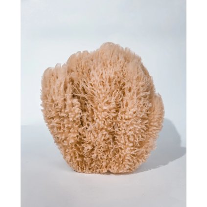 Mořská houba do koupele velká