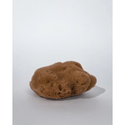 Mořská houba na odličování a do koupele malá