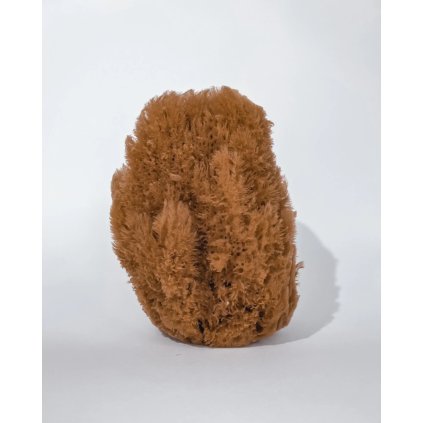 Mořská houba do koupele velká