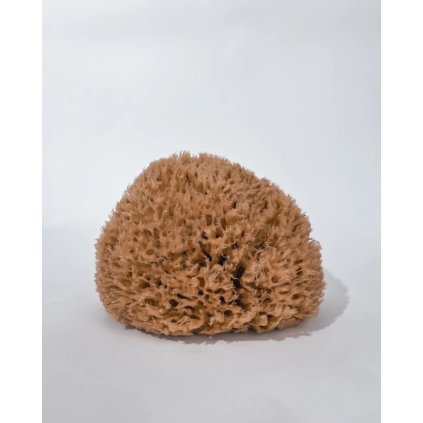 Mořská houba do koupele velká