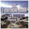 sol z Mrtveho mora so 46 % magneziom na web