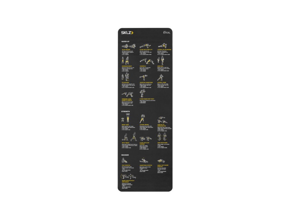 Sklz training mat sale