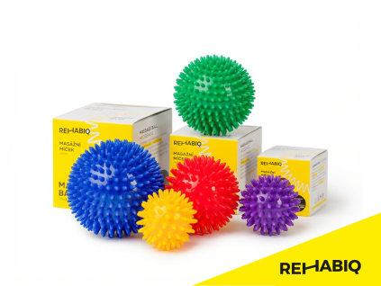 rehabiq logo 5