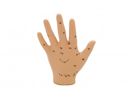 Hwato Akupunktúrny model ruky, 13 cm