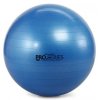 THERA-BAND gymnastická lopta, 75 cm Pro Series SCP™ , modrá