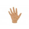 Hwato Akupunktúrny model ruky, 13 cm