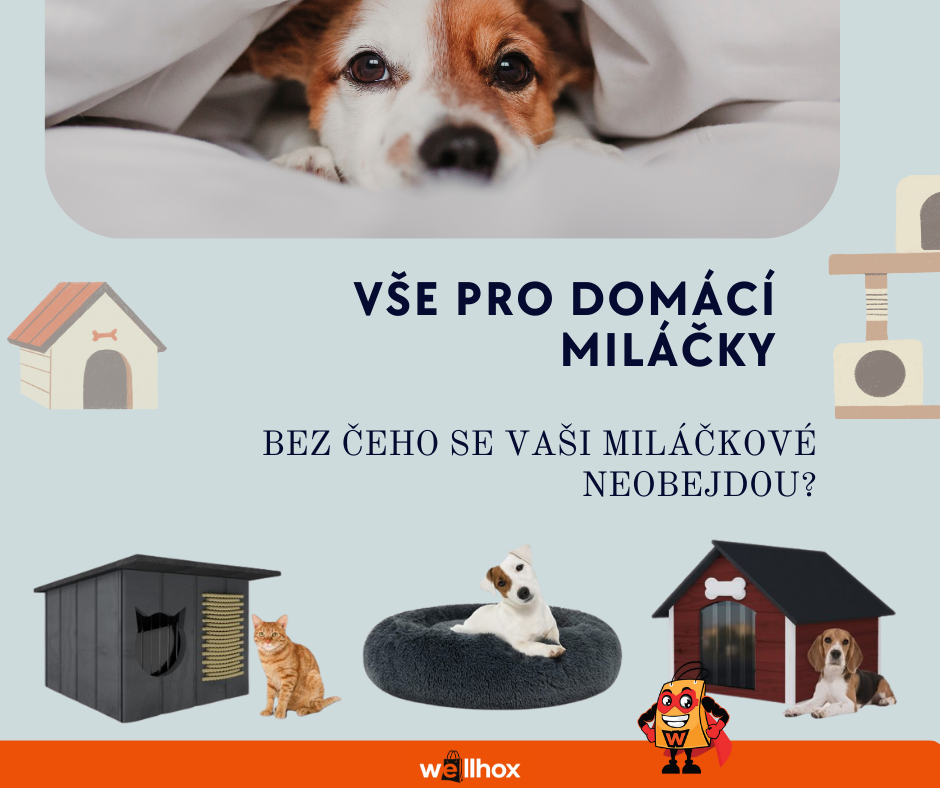 Vše pro domácí miláčky- bez čeho se vaši miláčkové neobejdou?