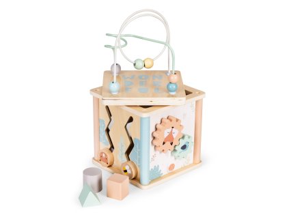 Dřevěné vzdělávací kostky