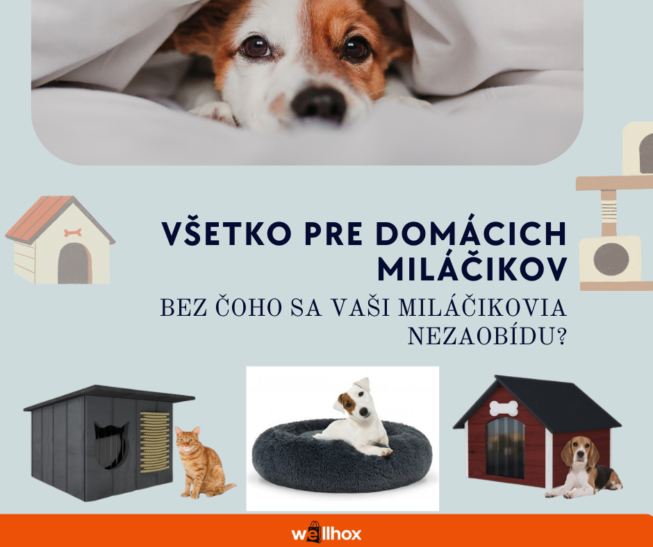 Všetko pre domácich miláčikov - Bez čoho sa vaši miláčikovia nezaobídu?