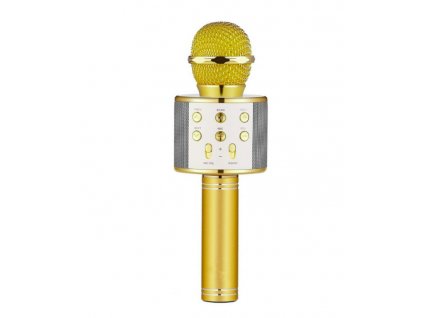 WELLHOX Karaoke reproduktorový bluetooth mikrofón