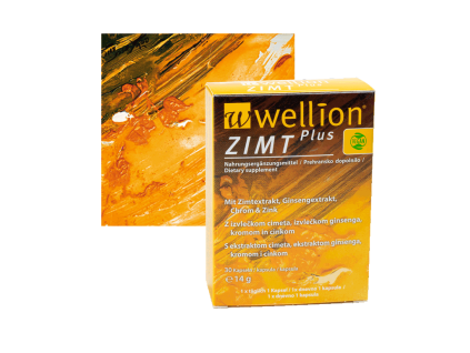 Header ZIMTplus 800