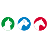 WellionVet GLUCO CALEA CodeChip Farben