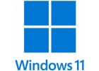 Windows 11