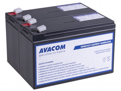 Bateriový kit AVACOM AVA-RBC124-KIT náhrada pro renovaci RBC124 (2ks baterií) obrázok | Wifi shop wellnet.sk