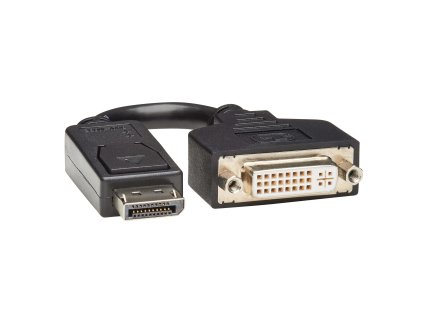 Tripplite Video adaptér DisplayPort / DVI (Samec/Samice), 15.2cm obrázok | Wifi shop wellnet.sk