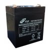 FSP/Fortron 12V/4.5Ah baterie pro UPS Fortron/FSP obrázok | Wifi shop wellnet.sk
