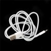 MD819 iPhone Lightning Datový Kabel White 2m (Bulk) obrázok | Wifi shop wellnet.sk
