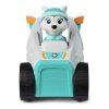 PAW Patrol Everest