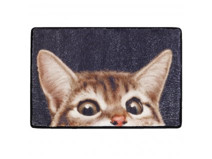 Rohožka CAT, 60 x 40 cm, barevná