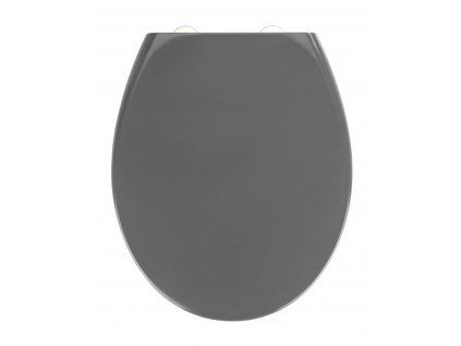 WC prkénko, EASY CLOSE, šedá barva, duroplast