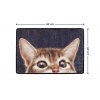 Rohožka CAT, 60 x 40 cm, barevná