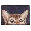 Rohožka CAT, 60 x 40 cm, barevná