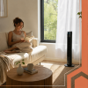Ruhhy 27834 Sloupový ventilátor + dálkové ovládání, černý