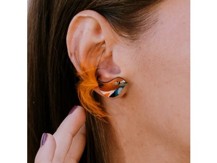 slavík modráček 2