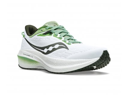 Saucony TRIUMPH 21 white/umbra