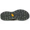 Merrell MOAB FLIGHT SIEVE lichen