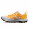 Saucony PEREGRINE 14 flax/clove