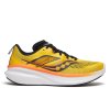 Saucony OMNI 22 pollen/black