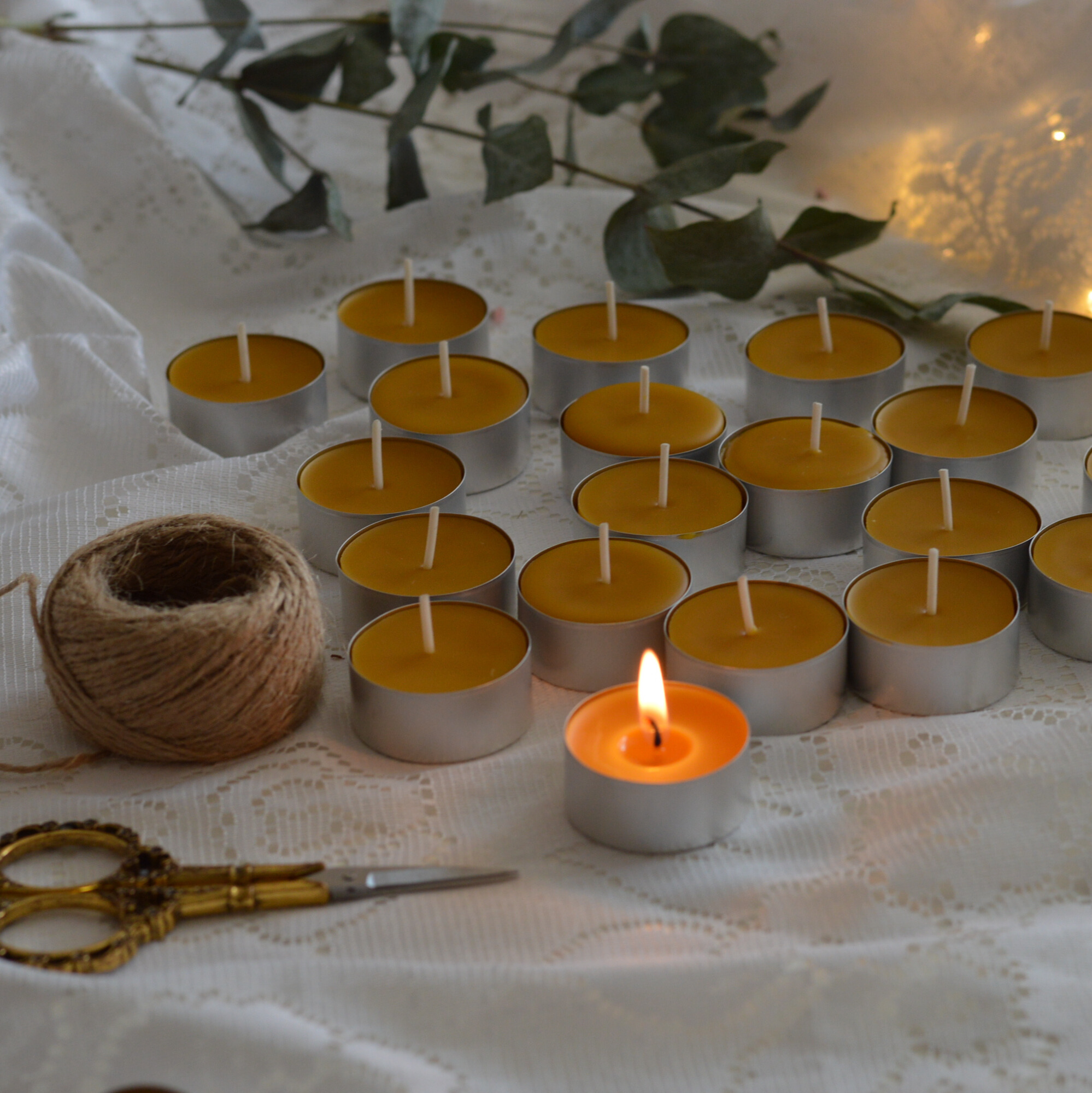 3318c8bf-ff6d-471c-a5c2-e10063b00bd8